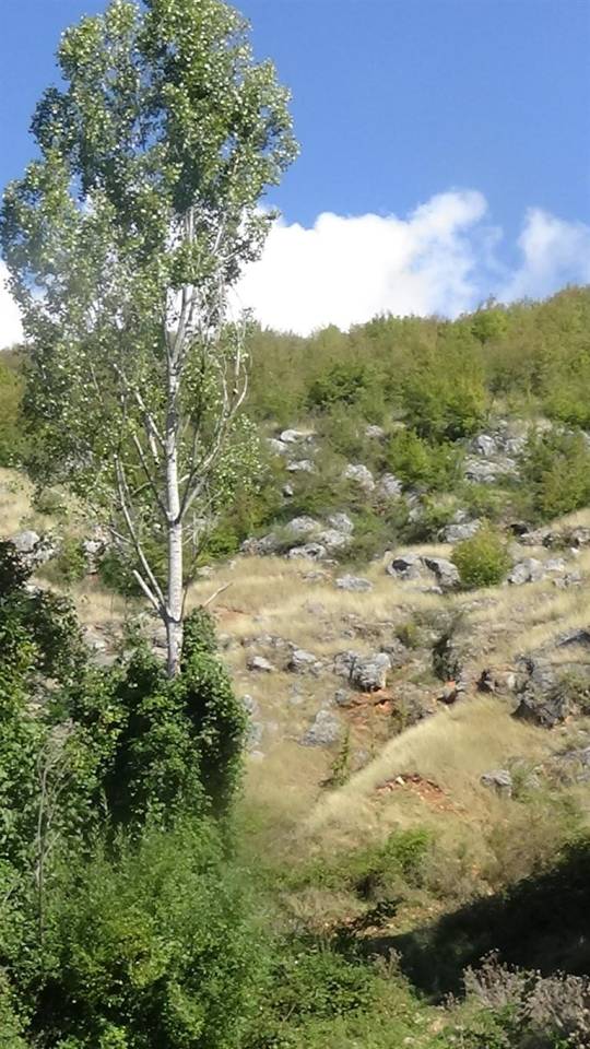 sopotnica_iznad_vrela_original